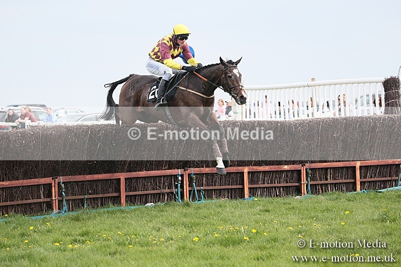 PtP 210418 193 - South & West Wilts Point-to-Point Larkhill 21/04/18
