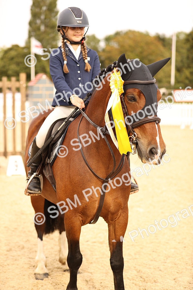 SBM_70845 - J13 - Junior Pony 60cm Championship