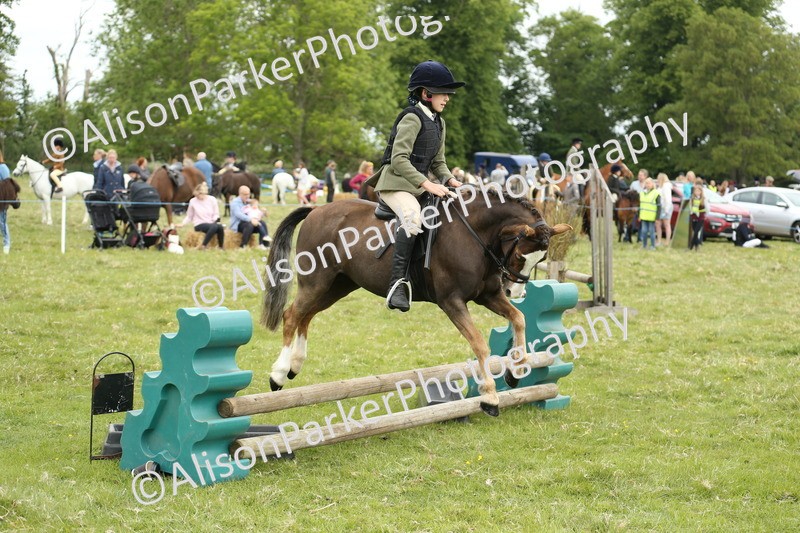 20250517-1115 - Class 21 - Novice Working Hunter