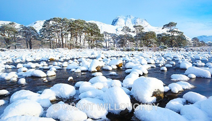 River Grudie Wester Ross - Scots Pines