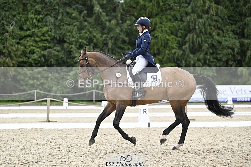 240523-154116-05293 - 439-HILDARE_EASTON_D'ECLIPSE-Danielle_Mccormack