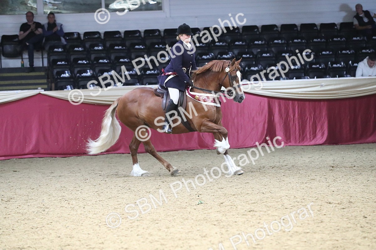 SBM_16543 - Class 502 M&M Ridden Supreme Final