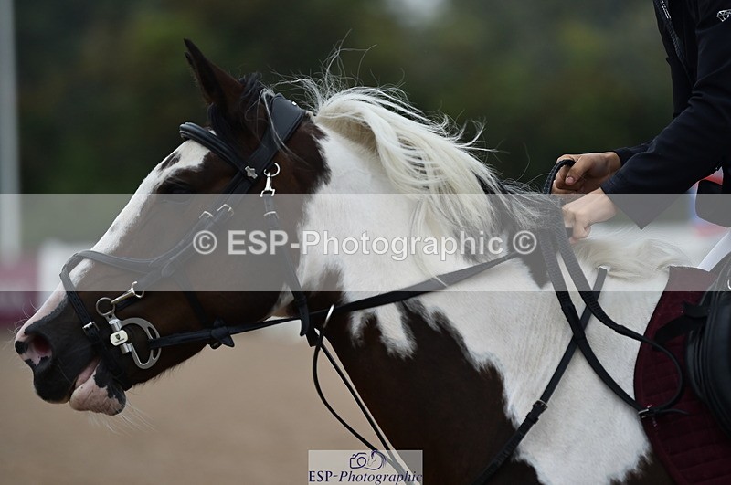 220829A-153234-00079 - Clear Round & 60cm  1a - 1b