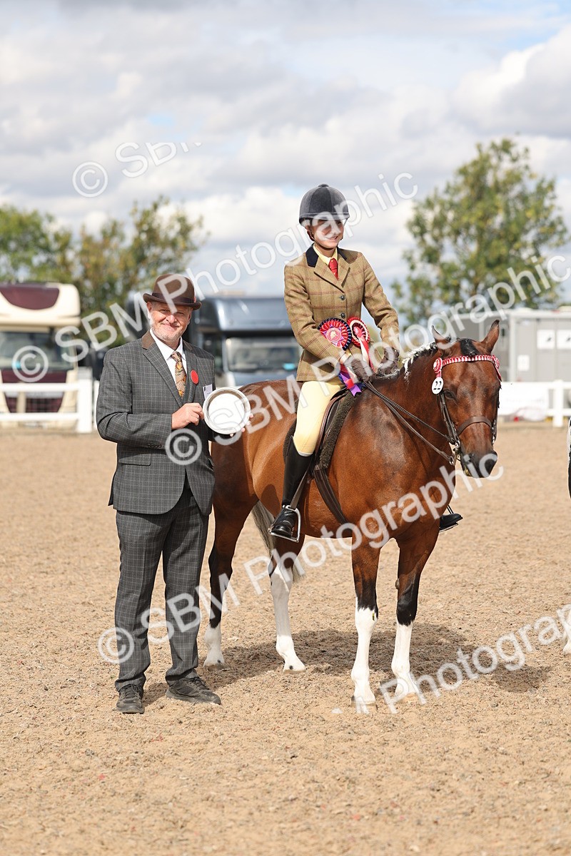 SBM_14670 - Class 307 - Ridden Coloured Pony