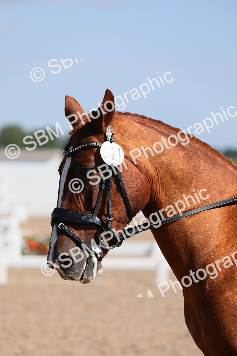 SBM_02560 - Class 30 Intro 1