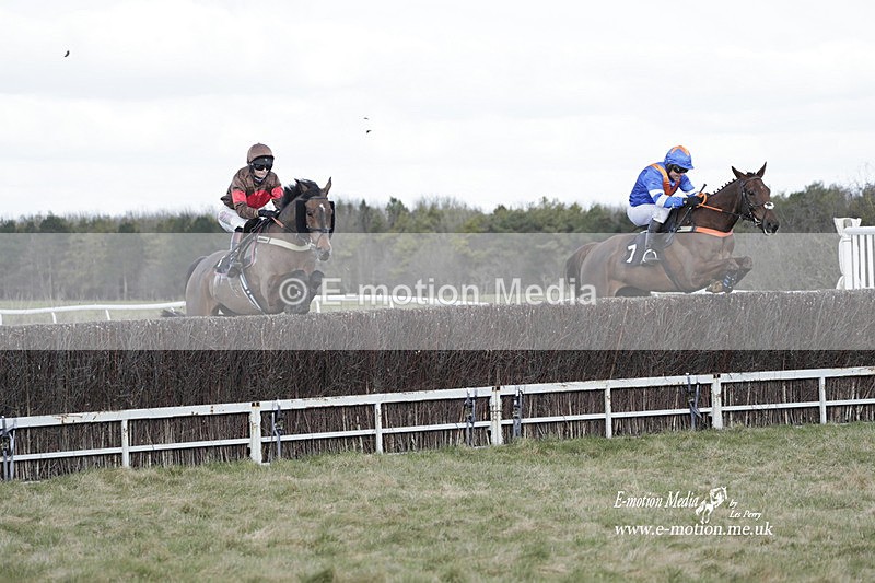 PtP 260223 633 - South & West Wilts Point-to-Point Larkhill 26/02/23