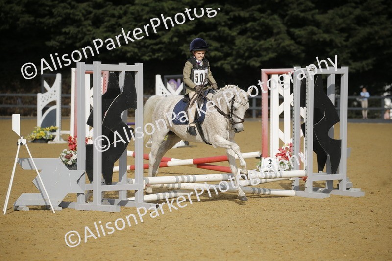 20250622-1234 - 40cm