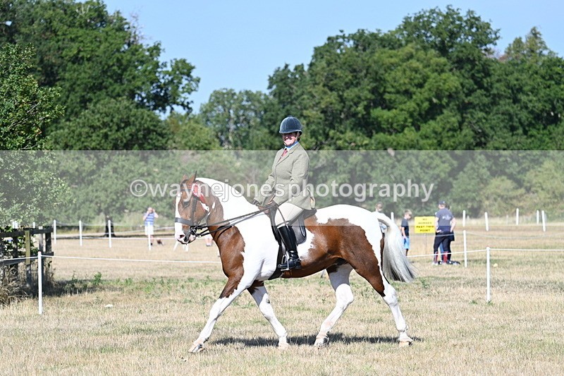 WJ7_3244 - Class 8 Ridden Tack & Turnout