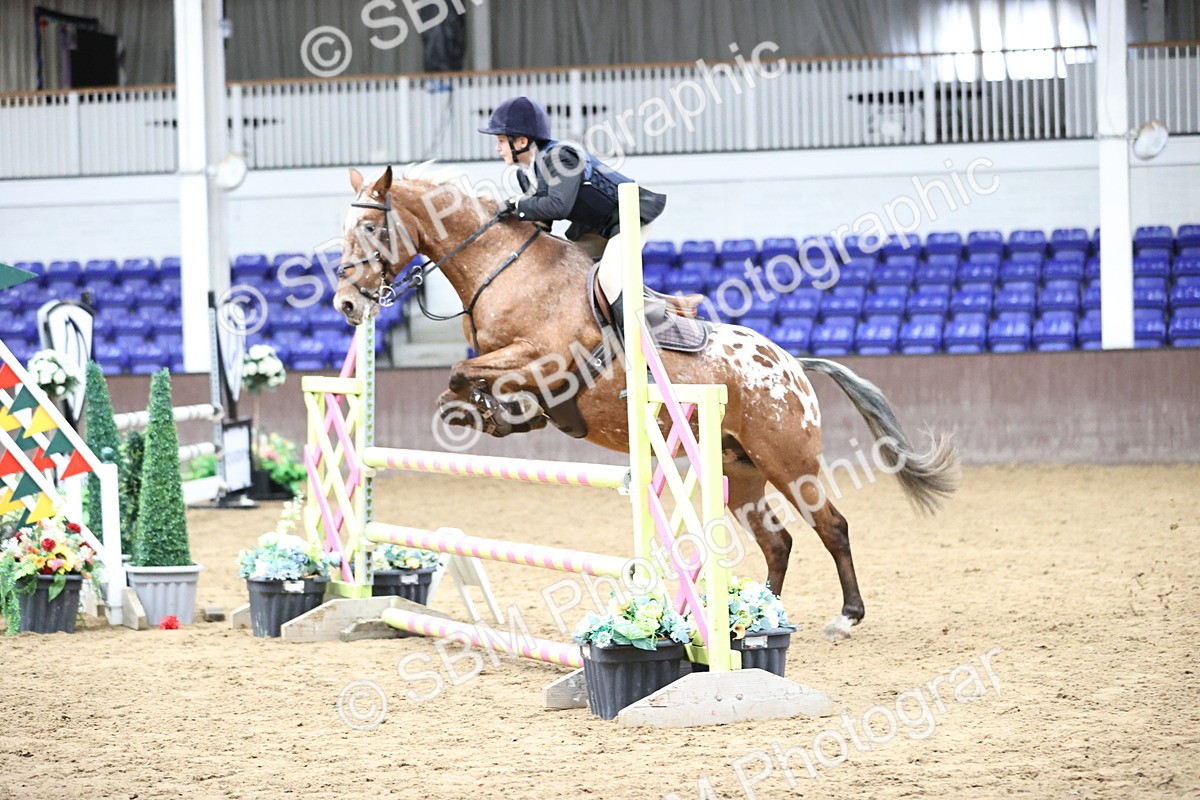 SBM_002393 - Class 11 - Pony Discovery - 90cm Open