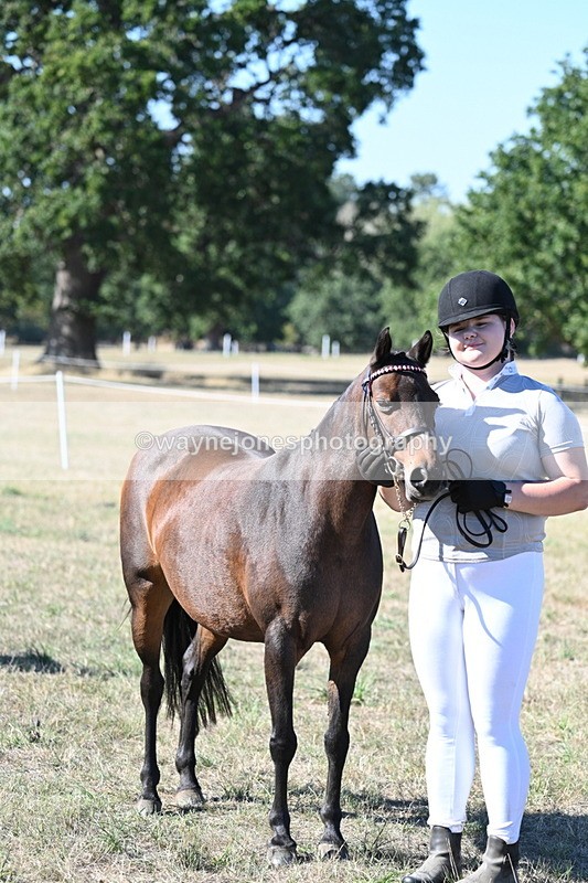 WJ7_2151 - Class 44 Child's Best Friend