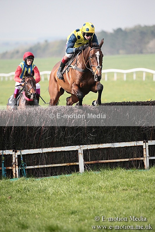 PtP 210418 415 - South & West Wilts Point-to-Point Larkhill 21/04/18