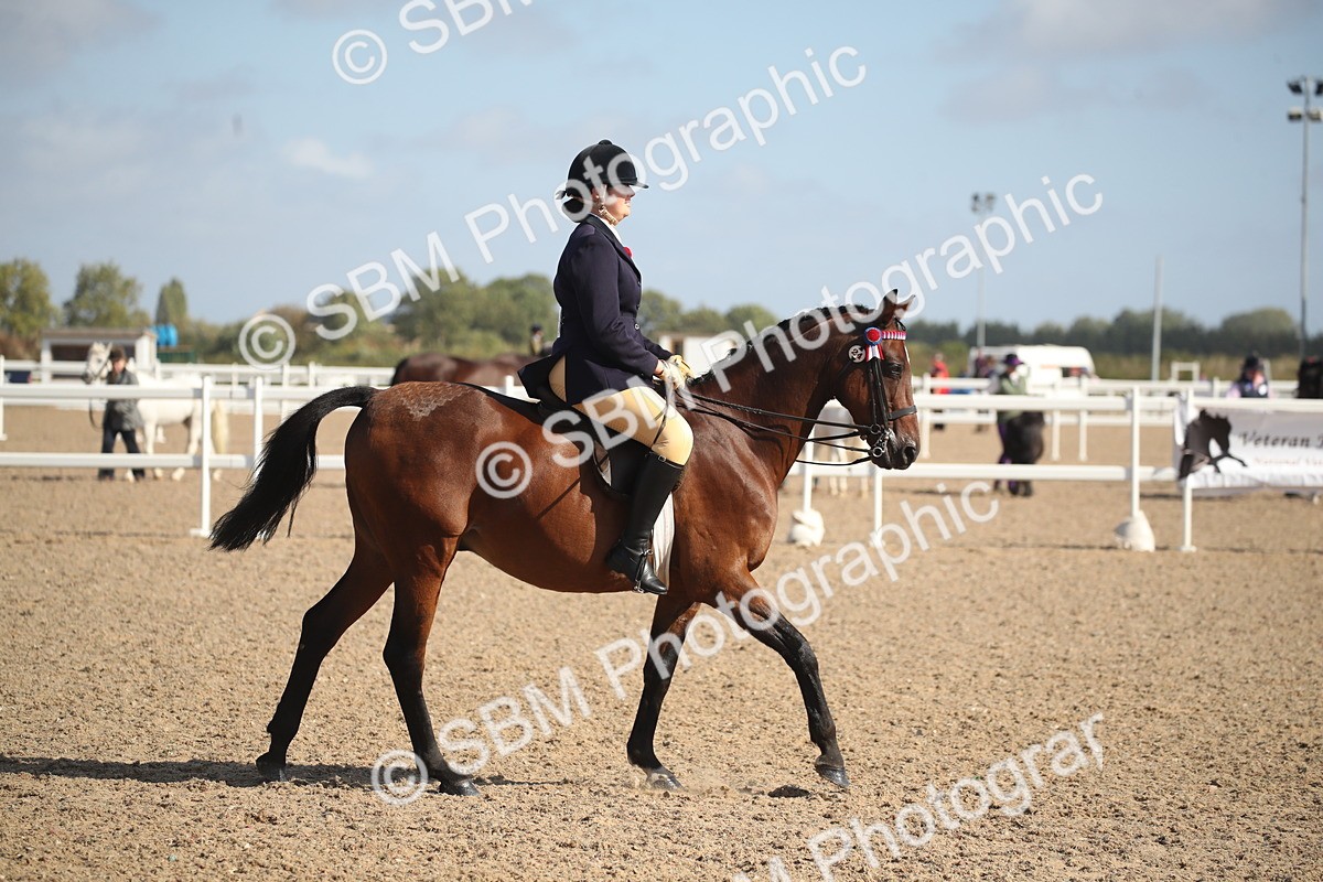 SBM_22819 - Class 602 - 2026 Area - Ridden Veteran