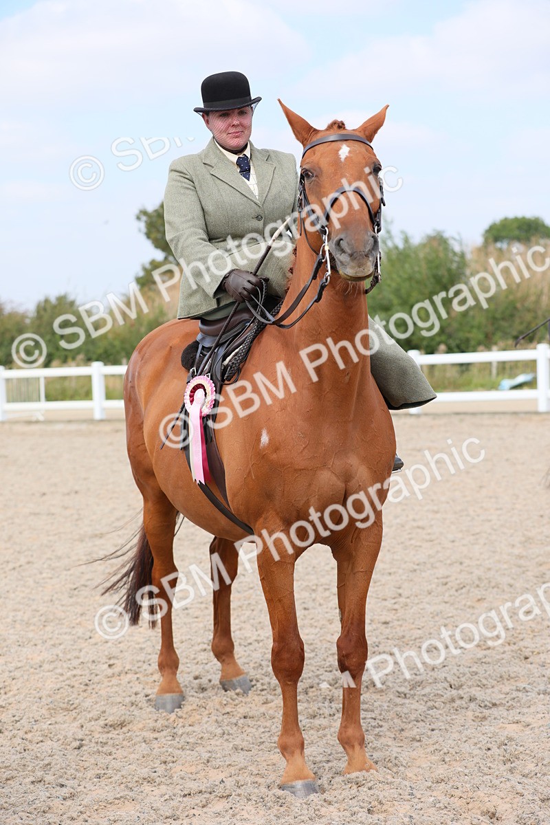 SBM_14627 - Class 211 Best Side Saddle Horse/Pony