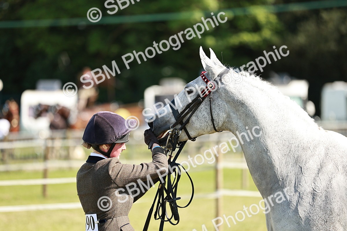 SBM_18901 - Class 114 - RIHS & SEIB Open Working Show Horse