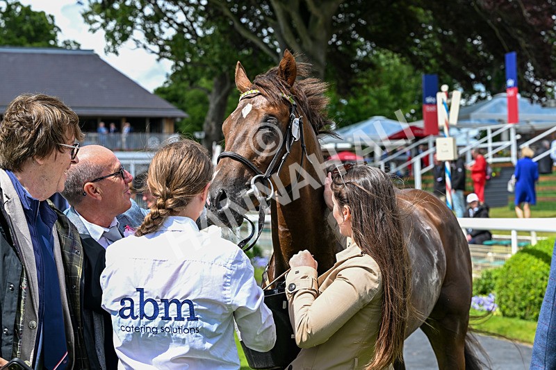 120626-Race 2-Everatease-7027 - Race 2 14.25pm Constant Security Keeping York Racegoers Safe Rous Selling Stakes