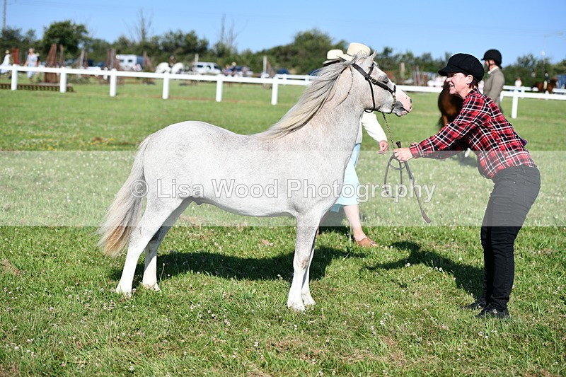DSC_5834 - Class 50: NPS M&M Yearling