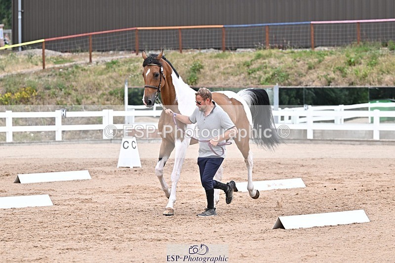 250716-134330-00657 - Trot Up 1.30 to 2.30