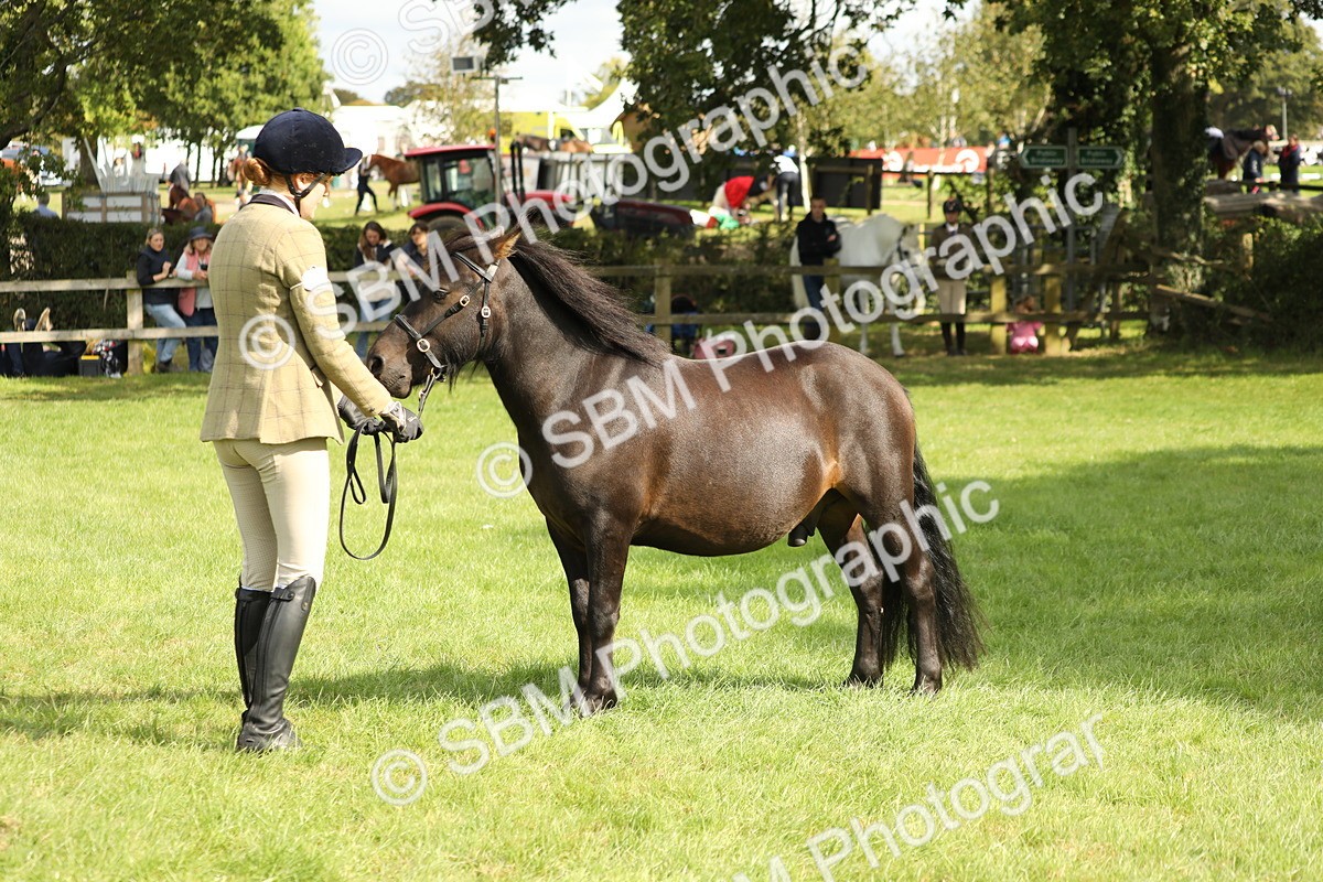 SBM_62826 - S46 - Mountain & Moorland In Hand Small Breeds