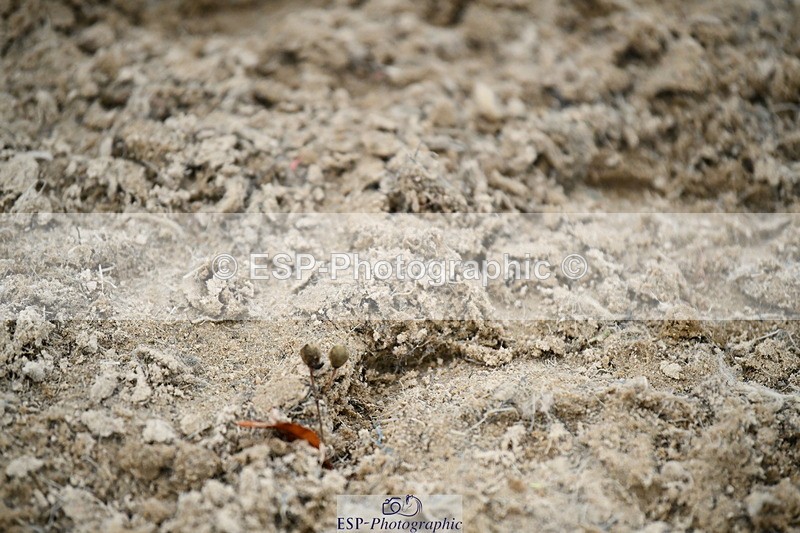 251004A-170044-02340 - Classes 10 & 11 80cm