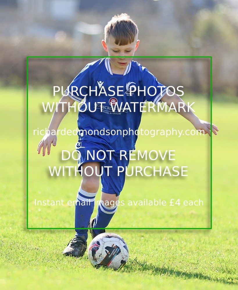 533A7847 - Ibis Under 8's (14/3/26)