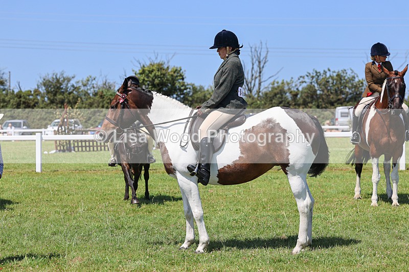 IMG_2505 - Class 38: Veteran Ridden