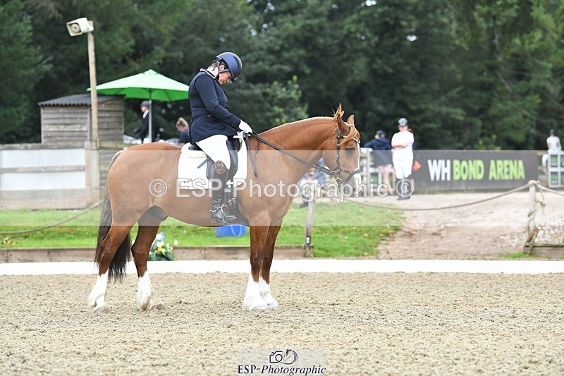 230812-092215-02775 - Cls 6 Novice Silver Start to 10.20 break