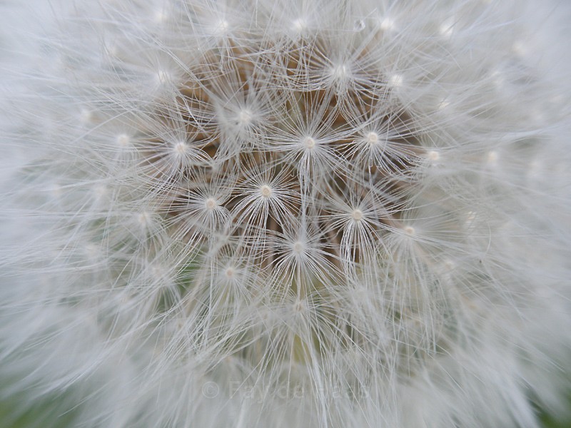  - Nature's Wonders