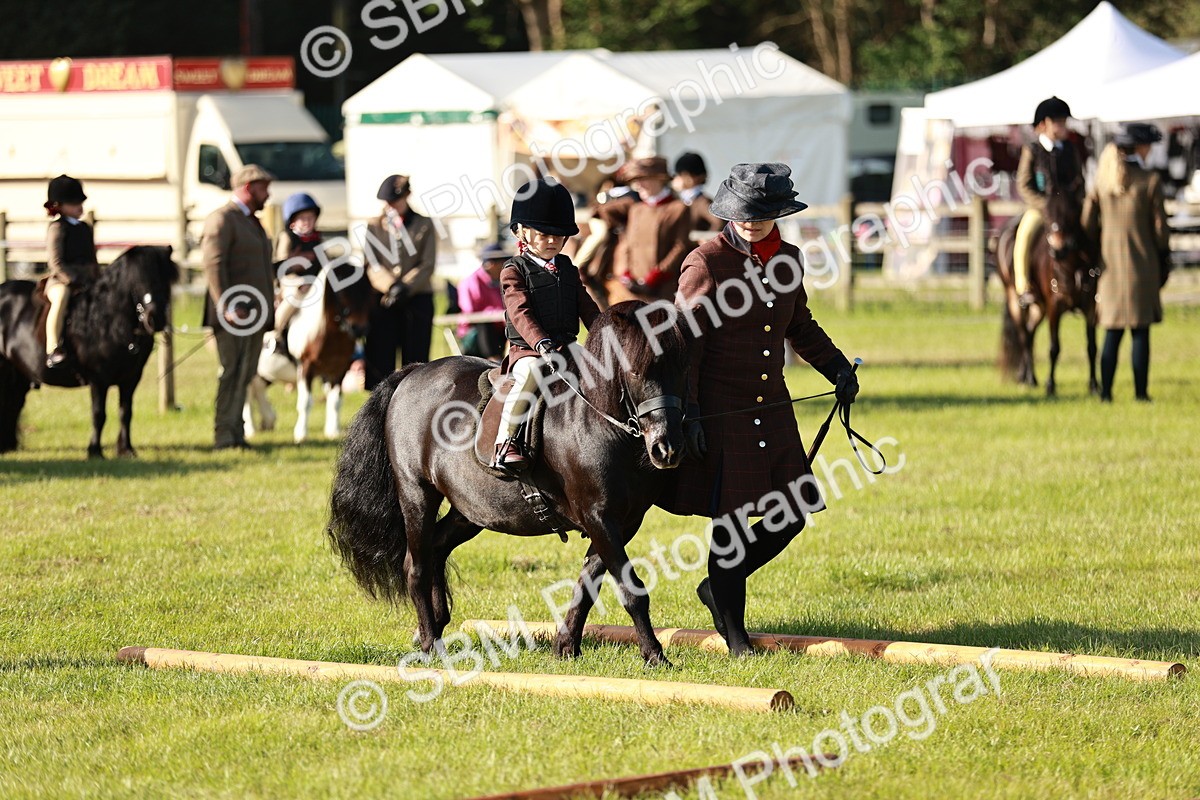 SBM_11107 - Class 106-107 - BSPS LIHS Working Sports Pony
