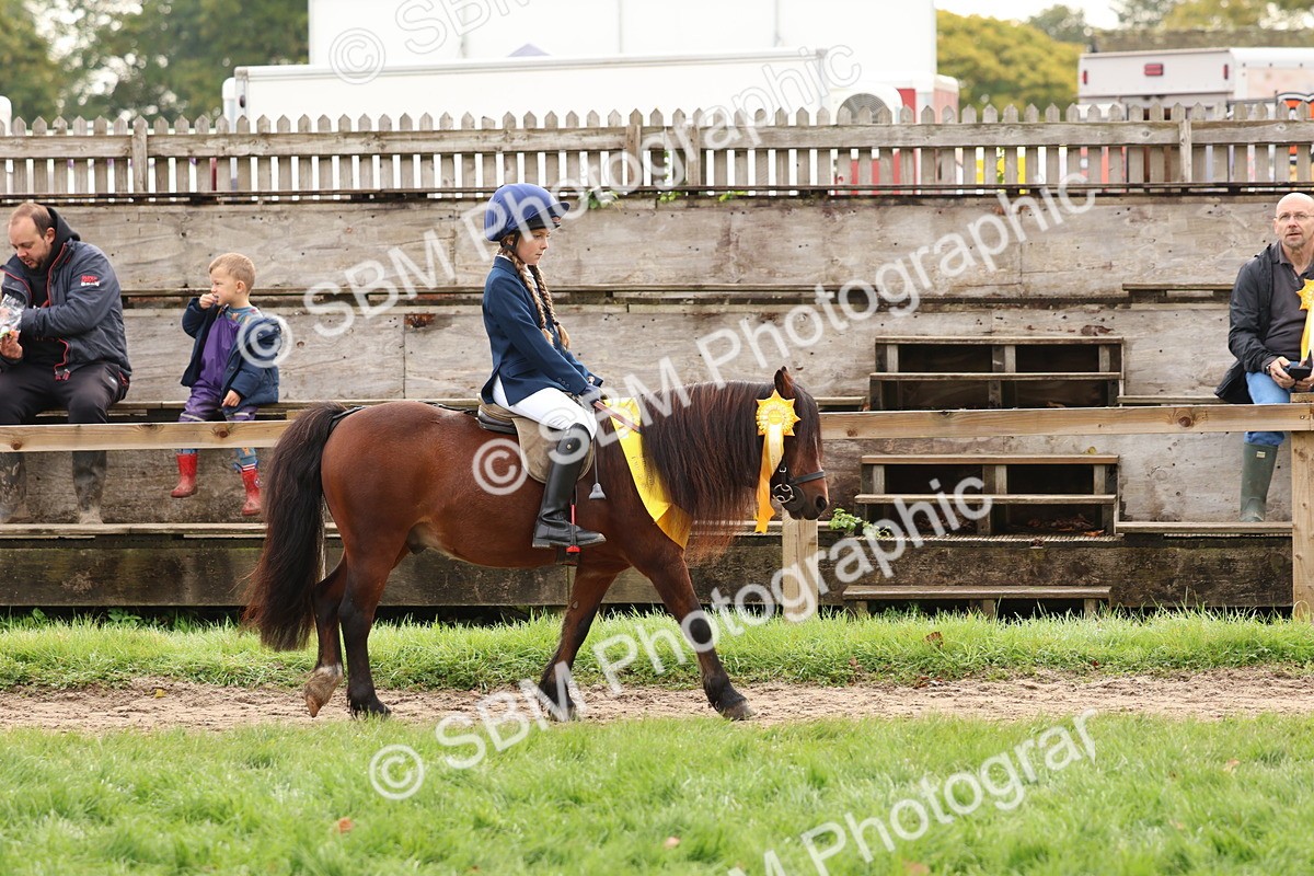 SBM_59751 - Start Supreme Championship