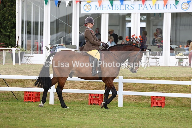 3E7A9260 - Class 4: Rising Star M/H Hunter