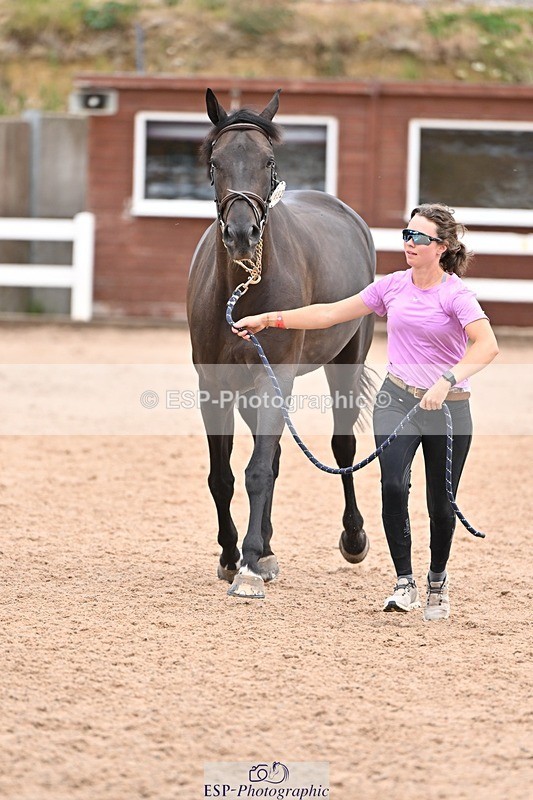 250716-140241-00872 - Trot Up 1.30 to 2.30