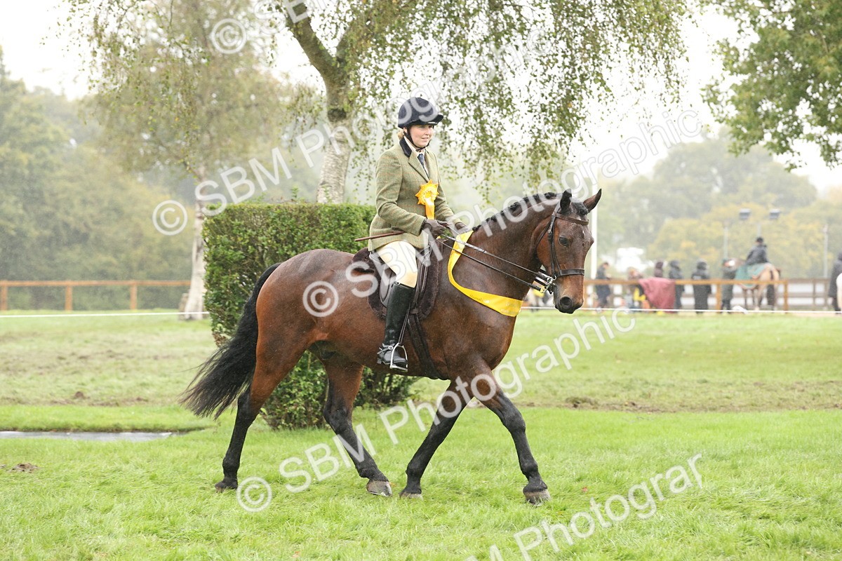 SBM_72905 - Ridden Horse Supreme Championship