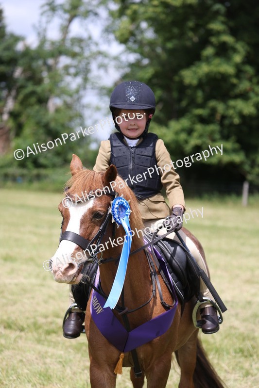 20260614-2139 - Class 21 - Novice Working Hunter Pony