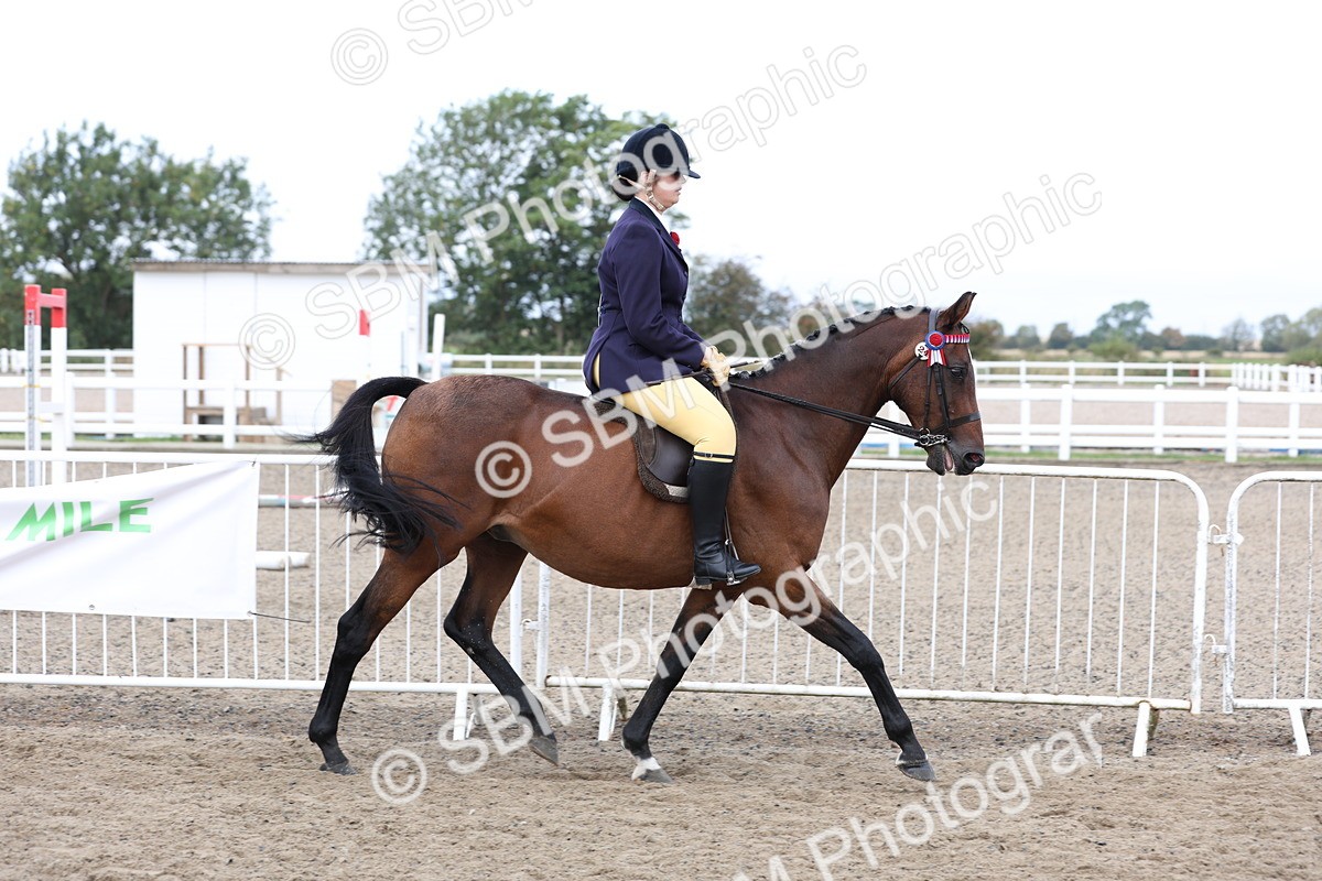 SBM_01472 - Class 52 - Ridden Veteran