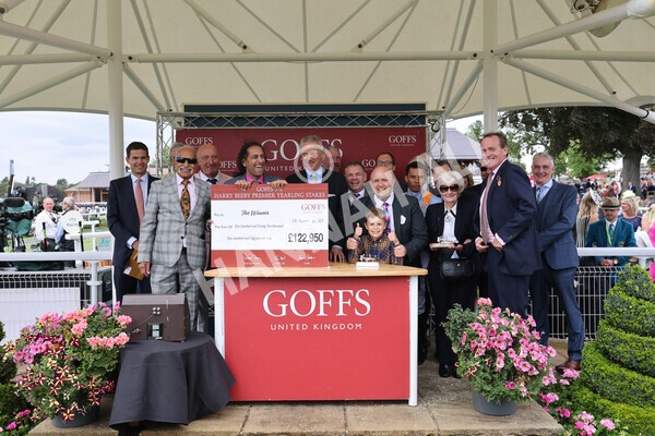 yr18082022r2-85 - Race 2 2.25pm Goffs UK Harry Beeby Premier Yearling Stakes
