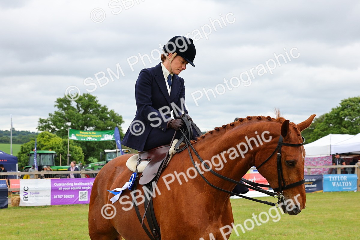 SBM_02896 - Class 9-11 Side Saddle including LIHS Rising Star Ladies Show Horse