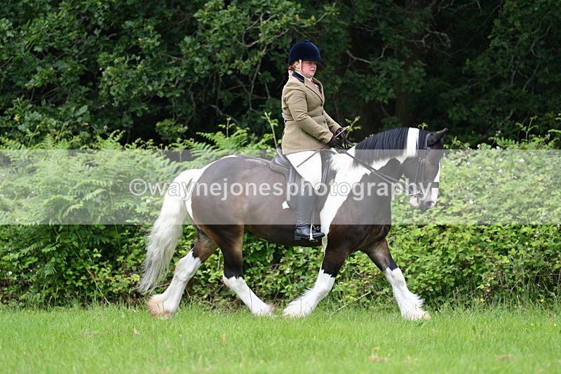WJ7_2317 - Class 12A Coloured Class