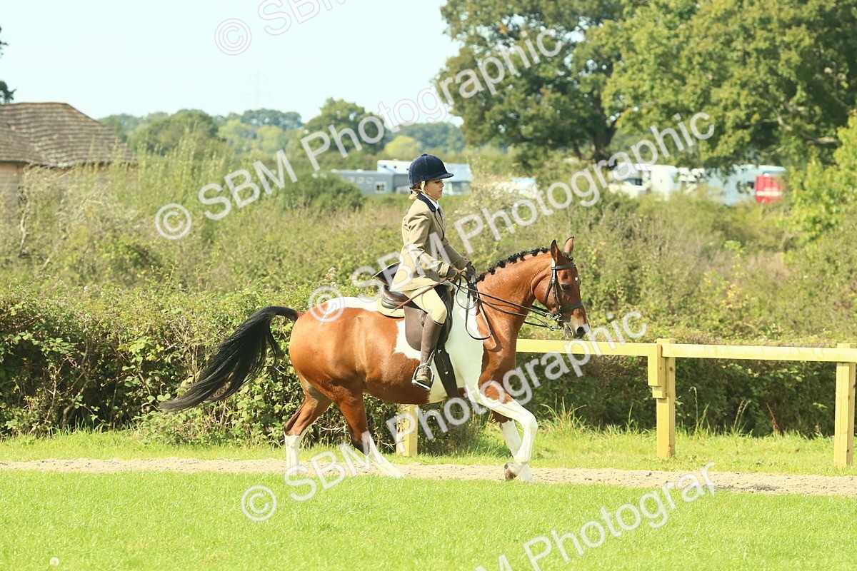 SBM_67447 - S56 - Coloured Pony Ridden