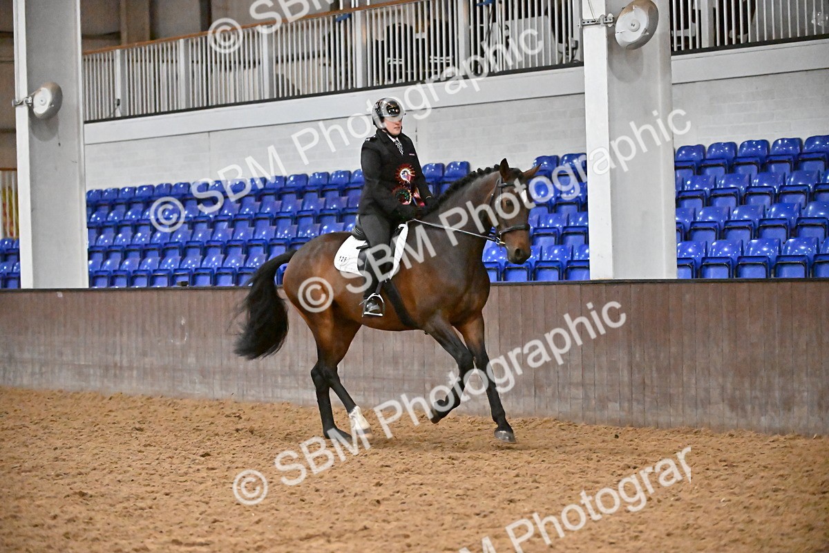 SBM_003063 - Class 37,38 - UKPSAF Performance Horse & Pony