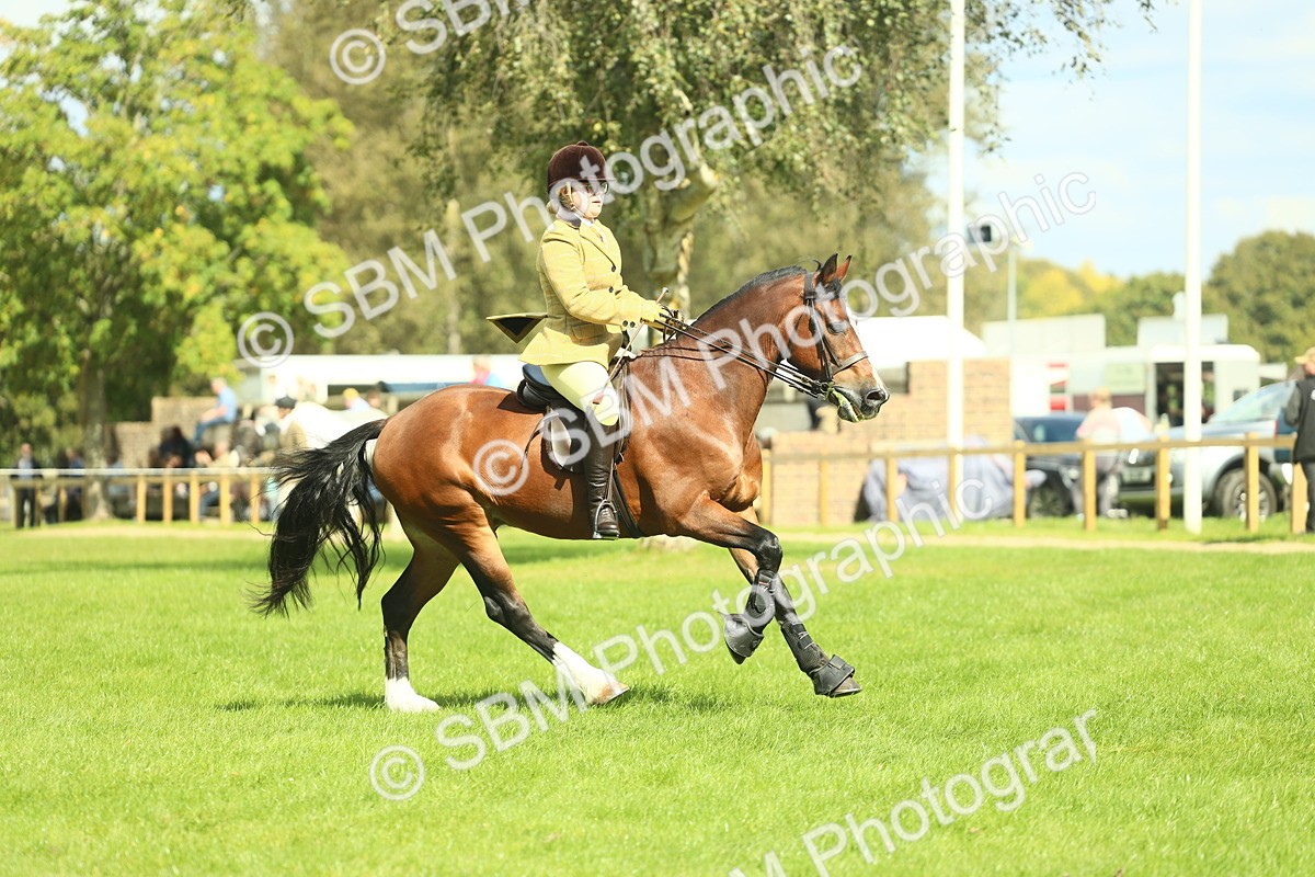 SBM_42960 - S30 - M&M Working hunter Pony