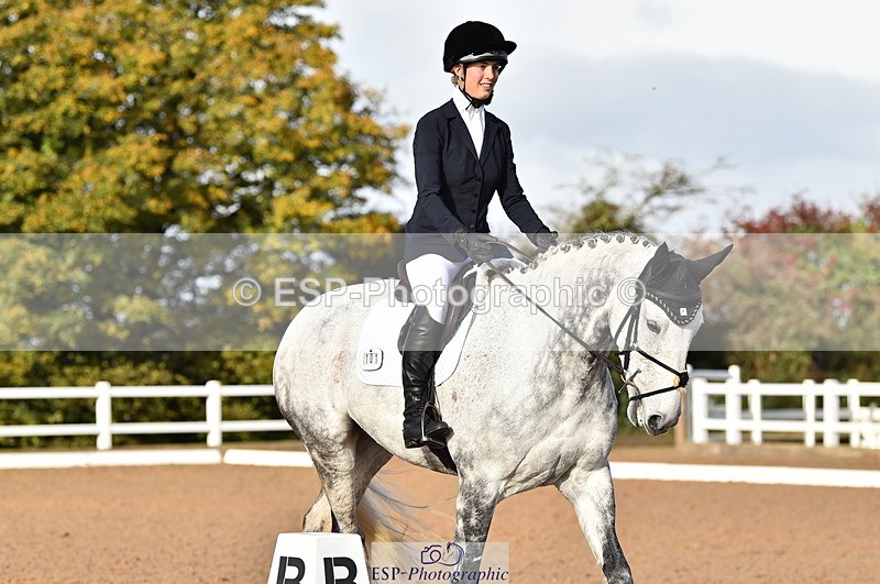 231104A-103944-01411 - Cls 2 Prelim 19