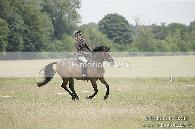 B230619-0620 - Bourne Valley Riding Club Summer Show 23/06/19
