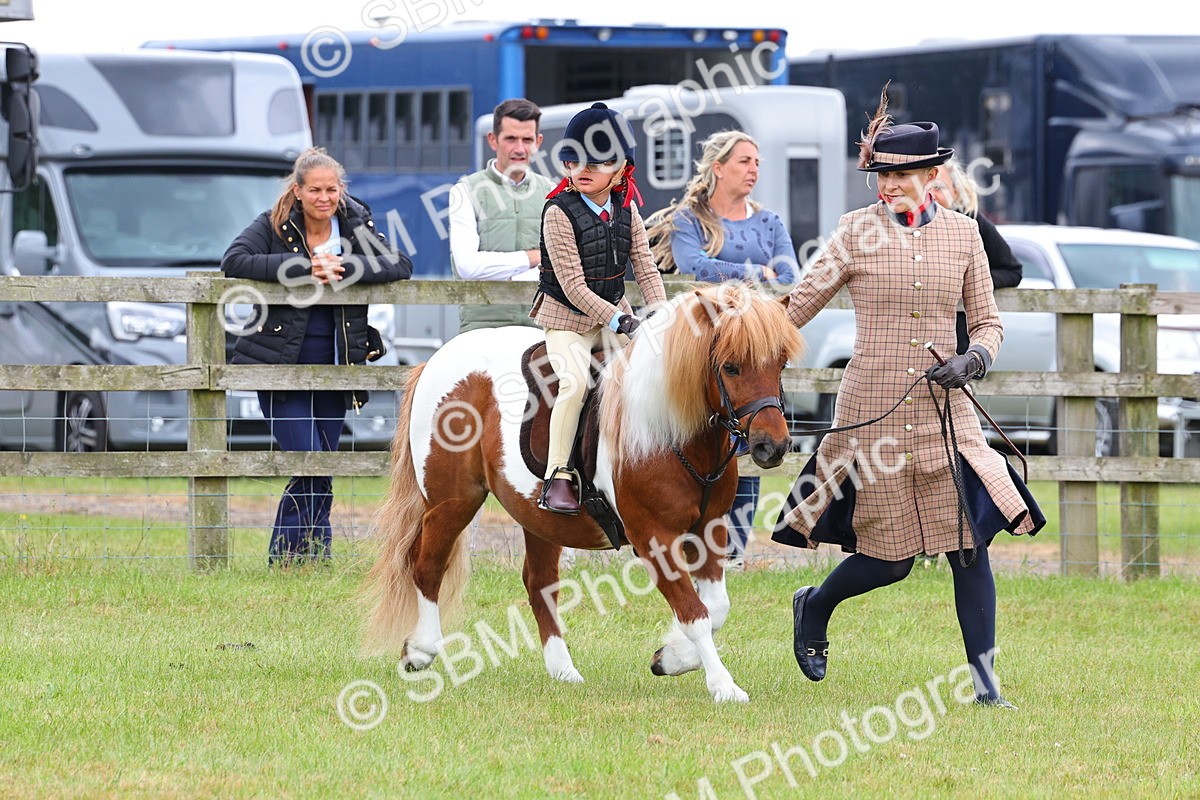 SBM_08235 - Class 42-43 - LIHS BSPS Heritage Working Sports Pony