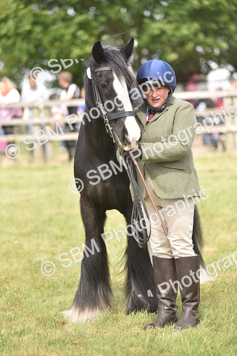 SBM_16082 - Class 117-122 - SSADL RIHS Qualifier