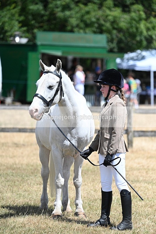 WJ7_2237 - Class 5 Most Handsome Gelding (up to 14.2hh) in hand