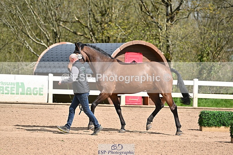 240417A-113444-00035 - 11am to 12pm