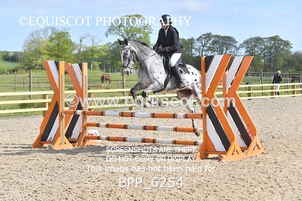 BPP_6254 - CLASS 32 MON Club/ Unaffiliated 80cms Open