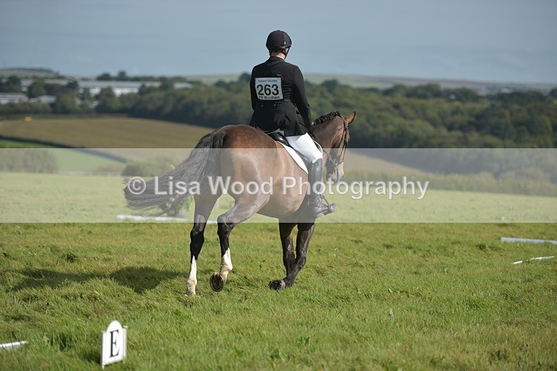 RAY_8053 - Class 2B: Trekenning Open: Dressage