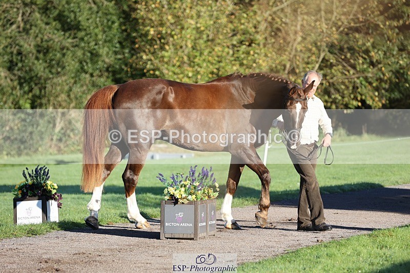 241027-084458-14789 - 315-Andrew.Winterton-STALLONE