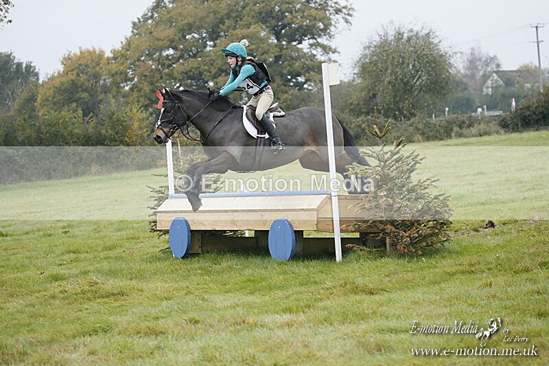 WWHT 181020 WWHT 181020 314 - WWEC Novice Restricted (0.80m) 18/10/20